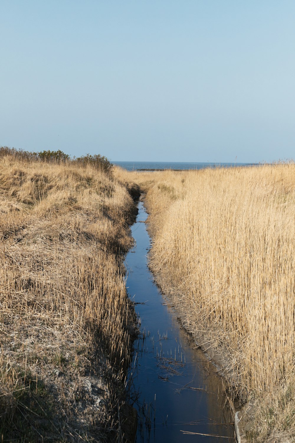 a stream running through a dry grass field