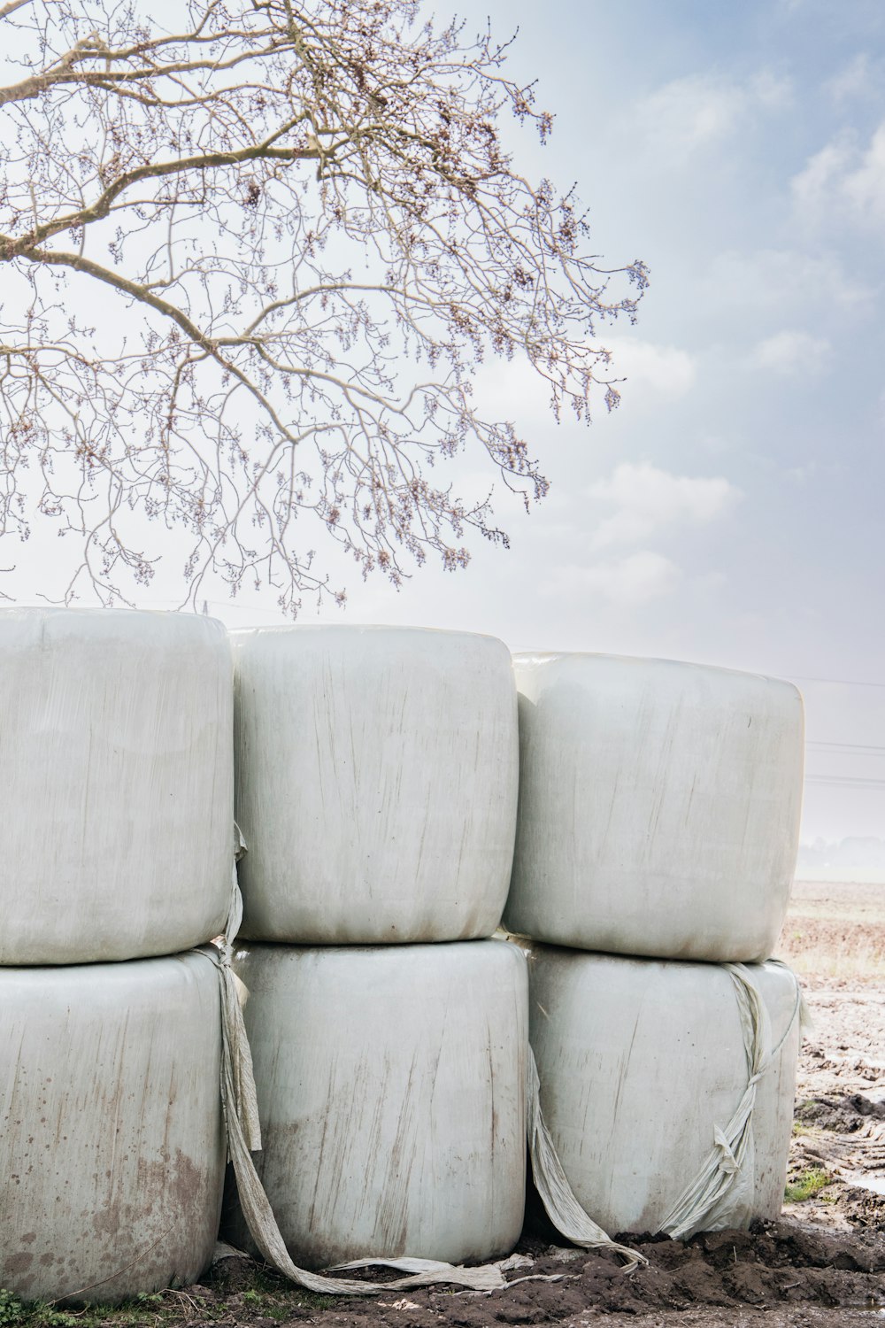 a pile of white bags sitting next to a tree