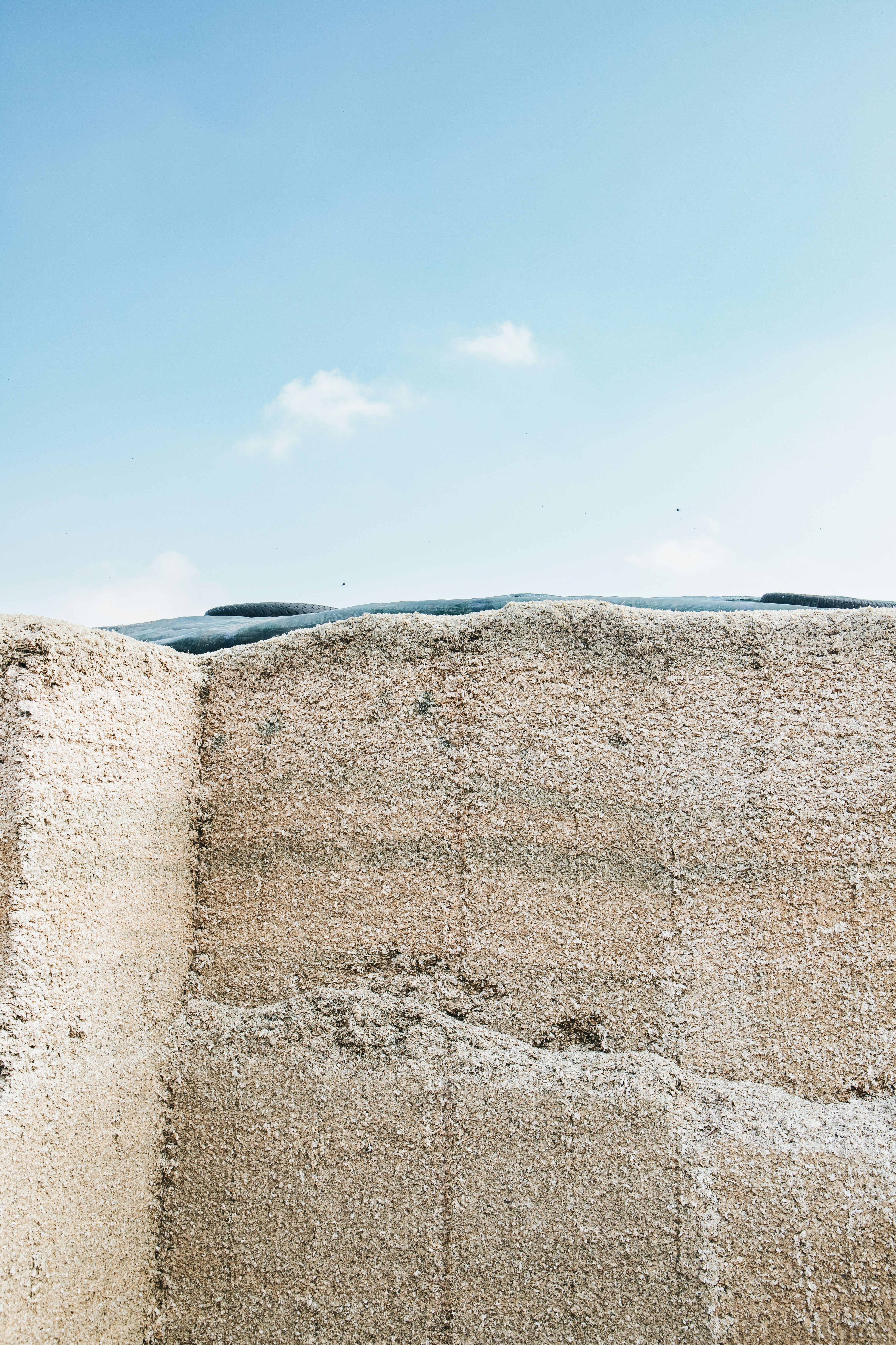 Photo by katharina_bill