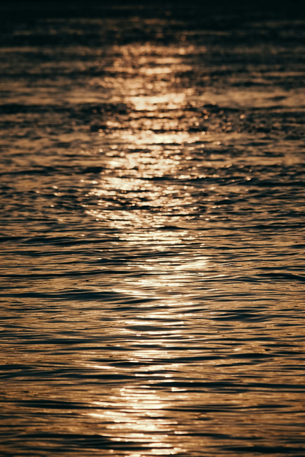 a body of water with the sun reflecting off of the water