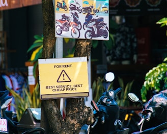 a bunch of motorcycles parked next to a tree