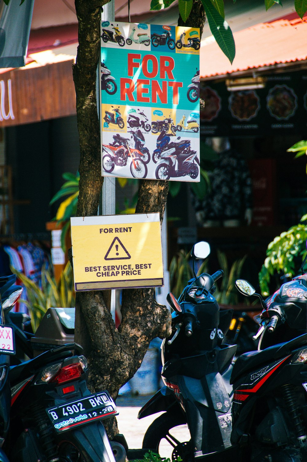 a bunch of motorcycles parked next to a tree