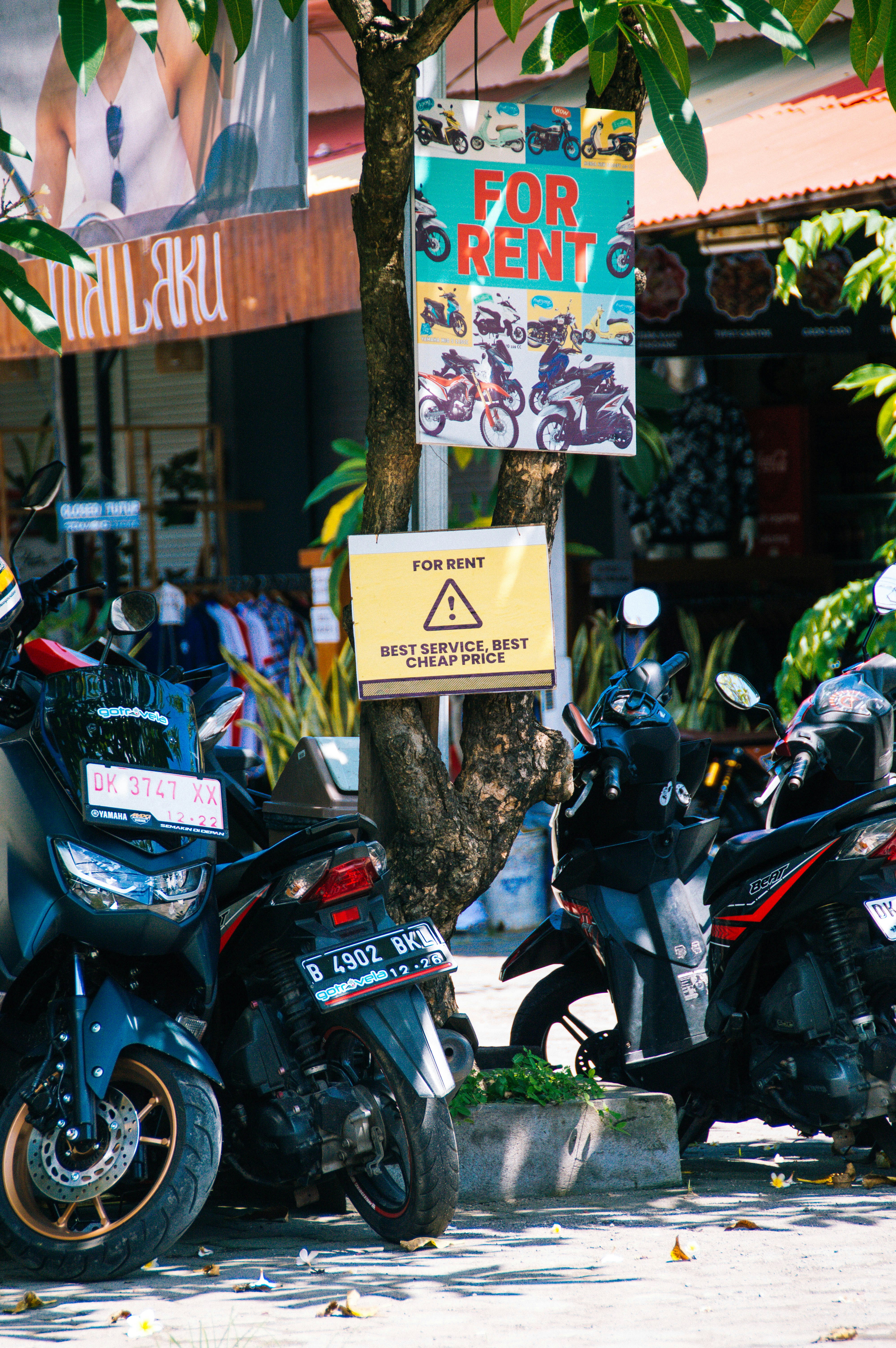 a group of motorcycles parked next to a tree