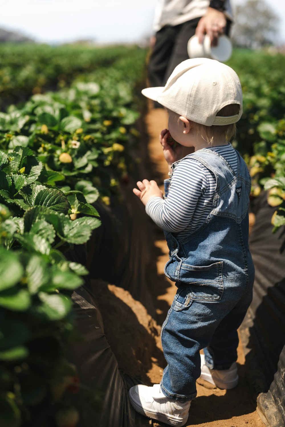 a small child standing in the middle of a field