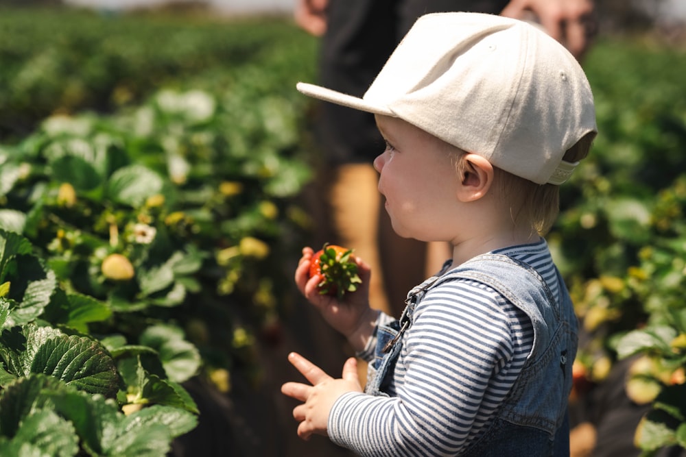 Un niño pequeño parado en un campo de fresas