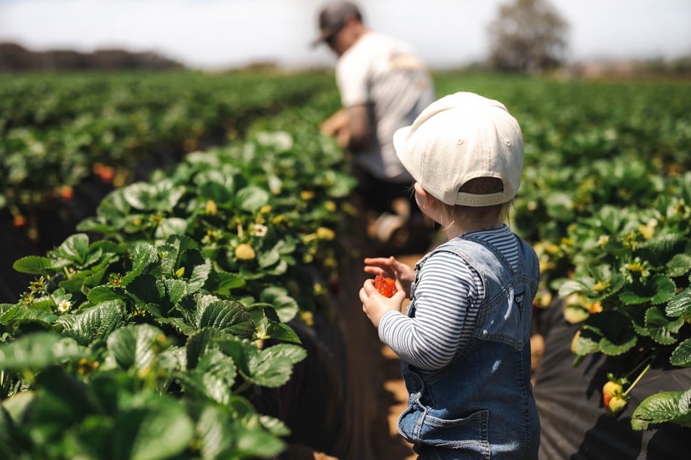 um menino de pé em um campo de plantas verdes