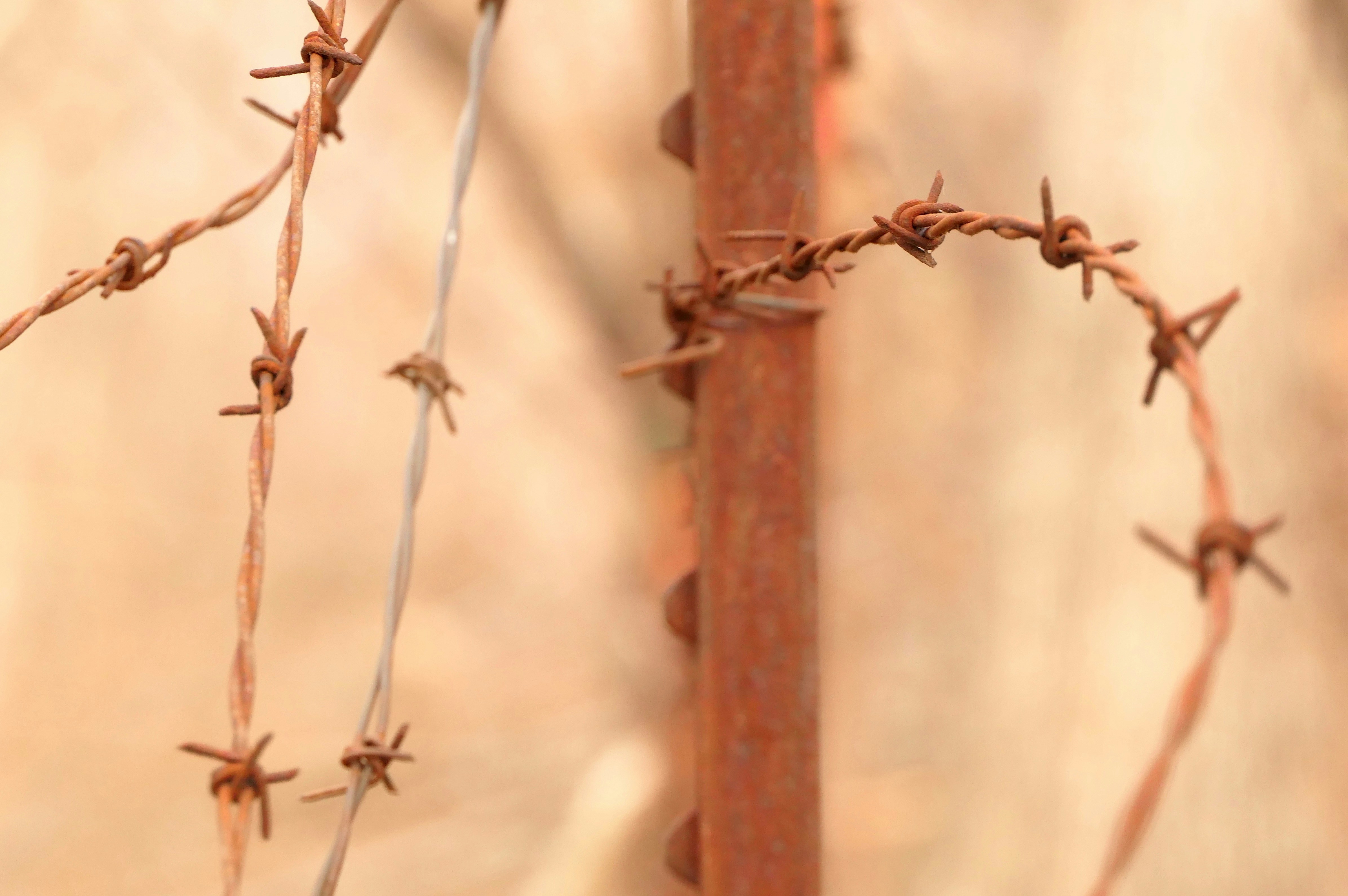 a close up of a barbed wire fence