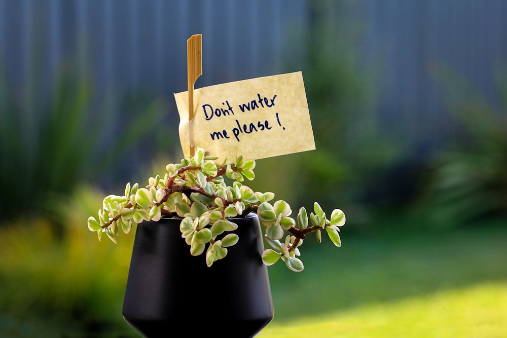 a potted plant with a note attached to it