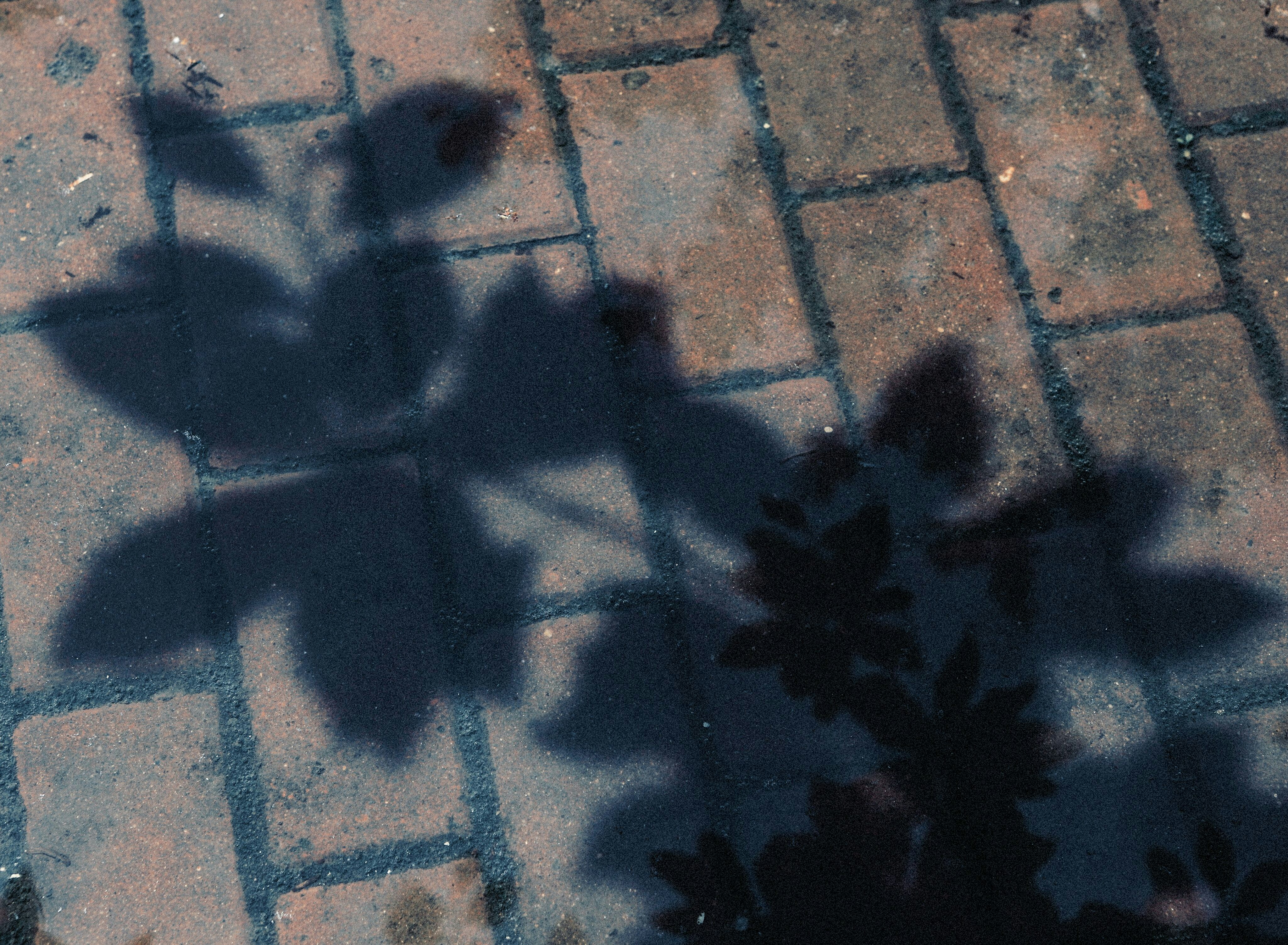 Photo by lengfeixiao