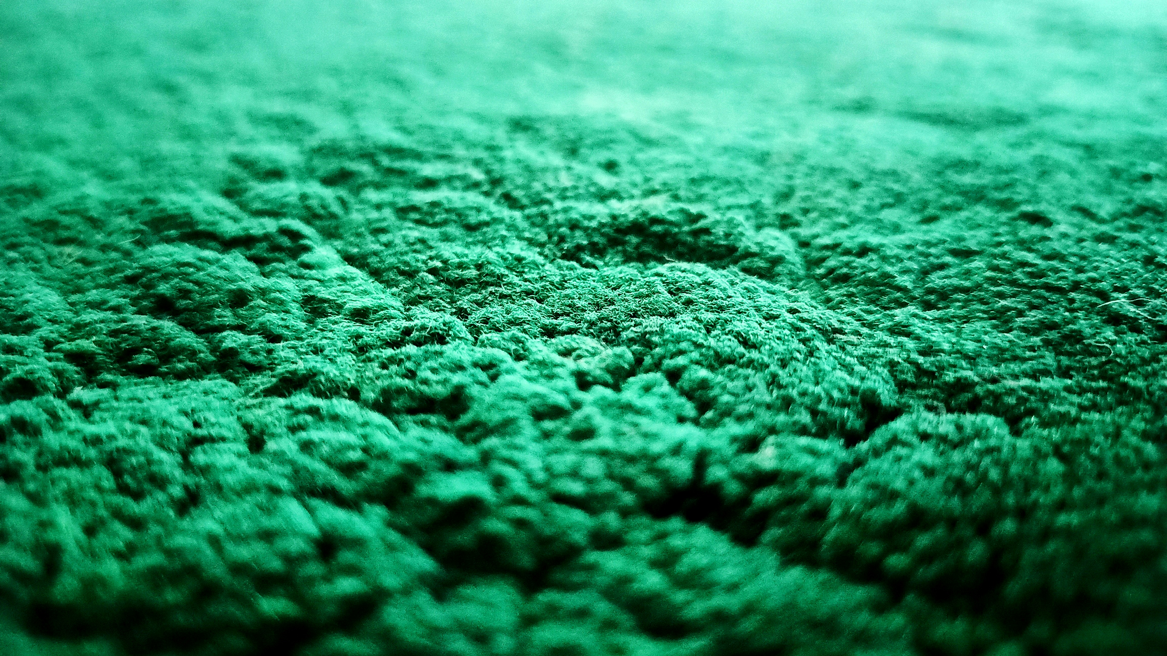 Beyaz bir halının üzerine yapışmış renkli slime lekesi ve temizleme işlemi.