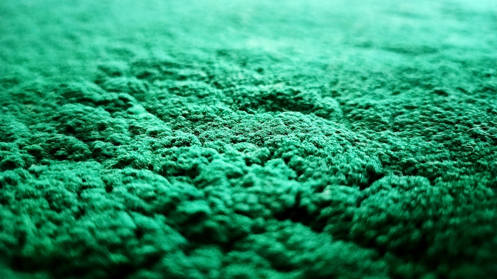 a close up view of a green carpet