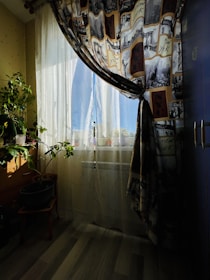 a room with a curtain and a potted plant