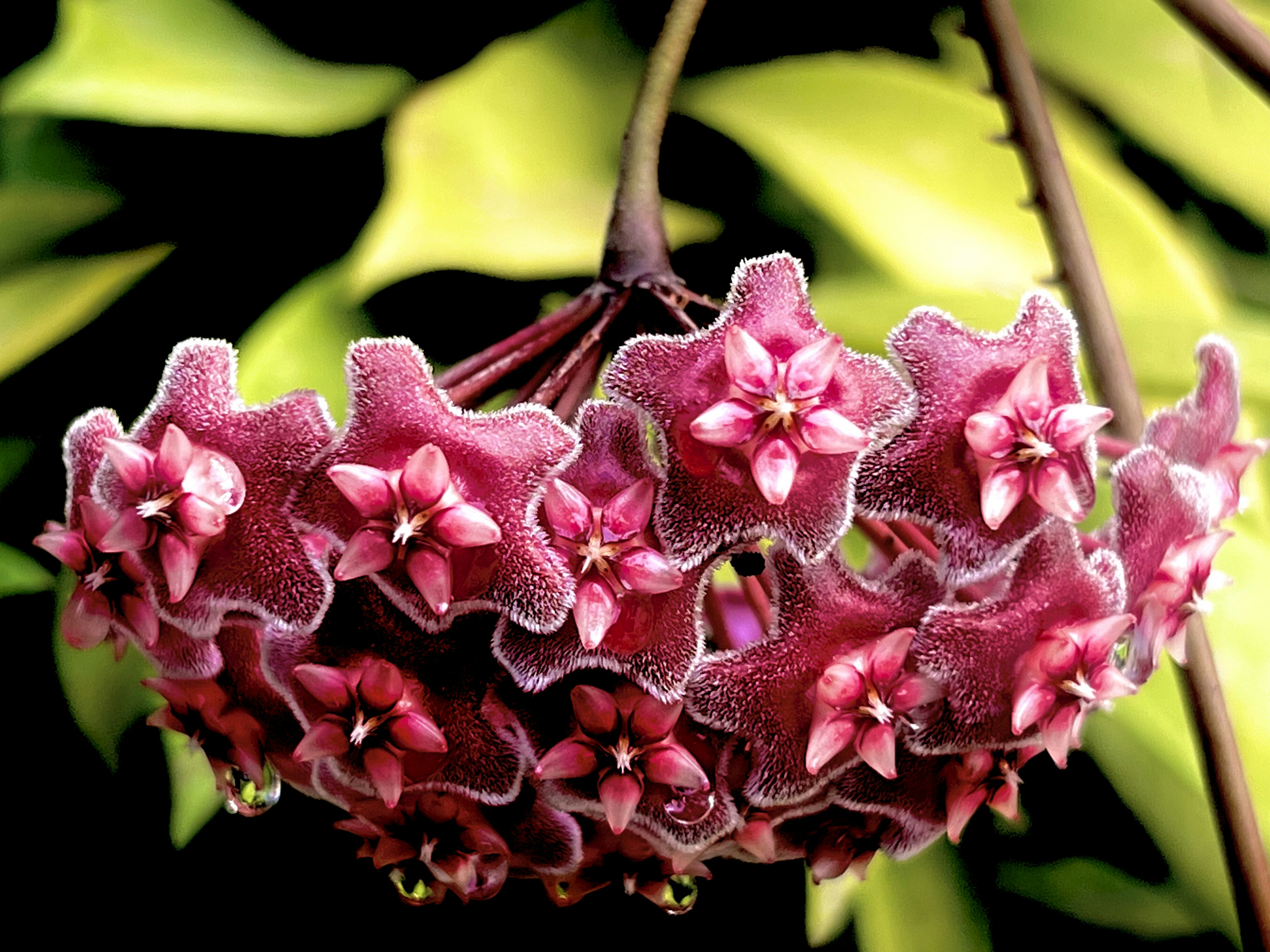 Photo by thanhliem178