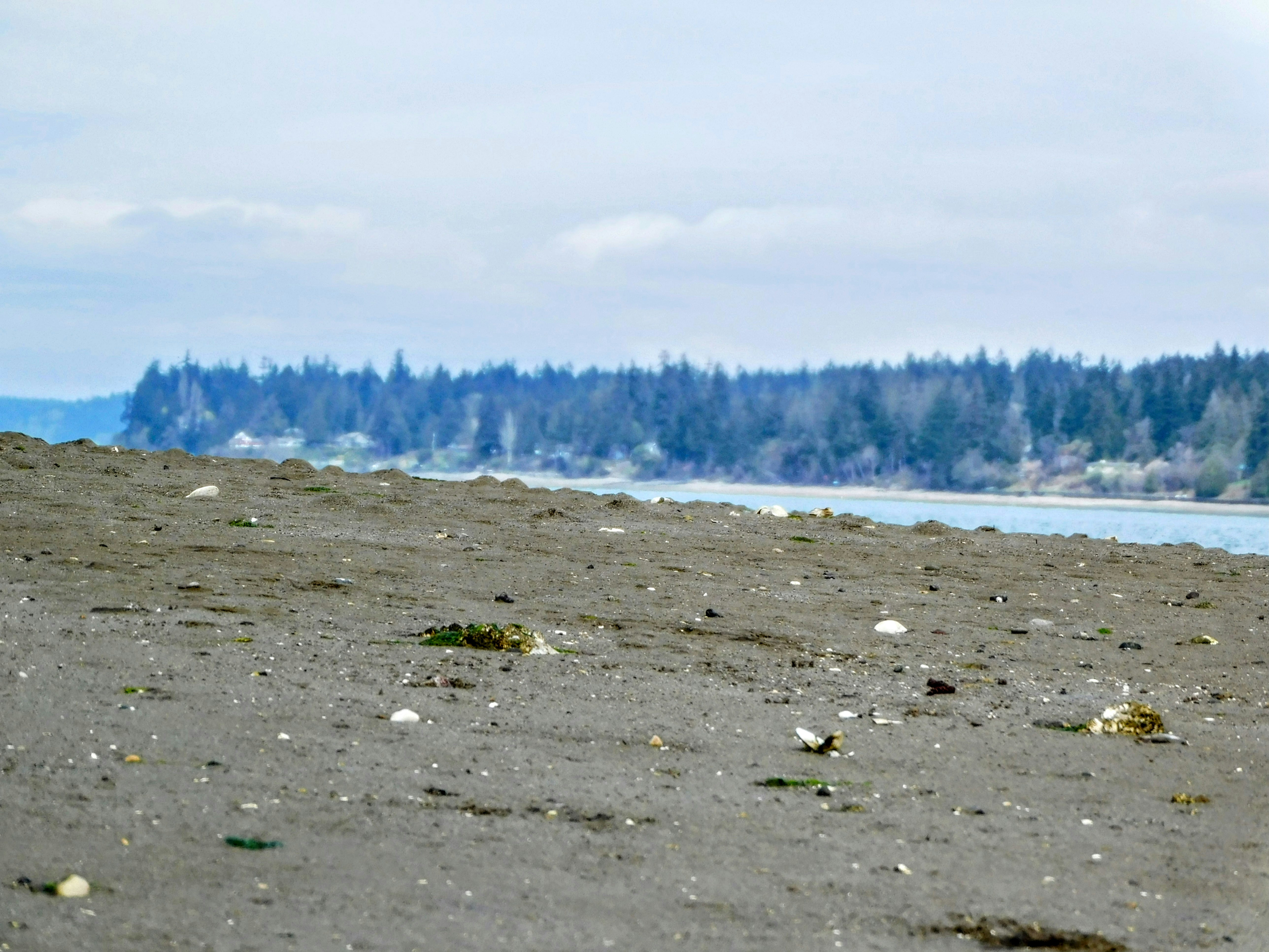 Jarvis Creek Park
