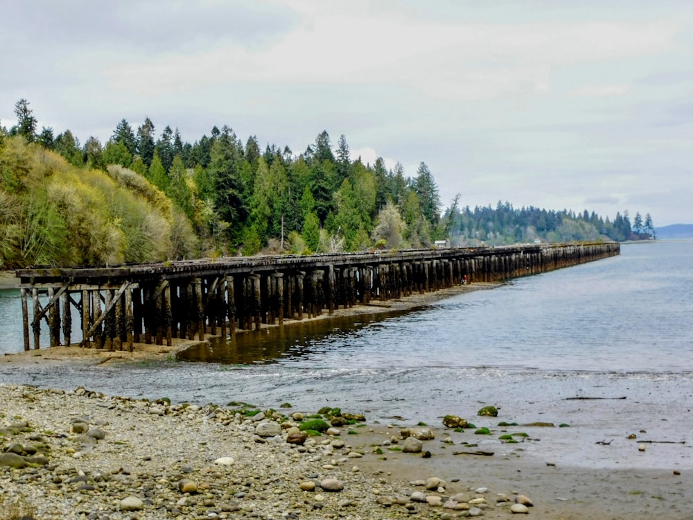 a long wooden pier sitting on the side of a lake