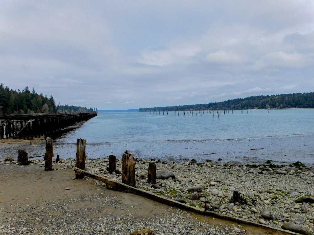 a large body of water sitting next to a forest