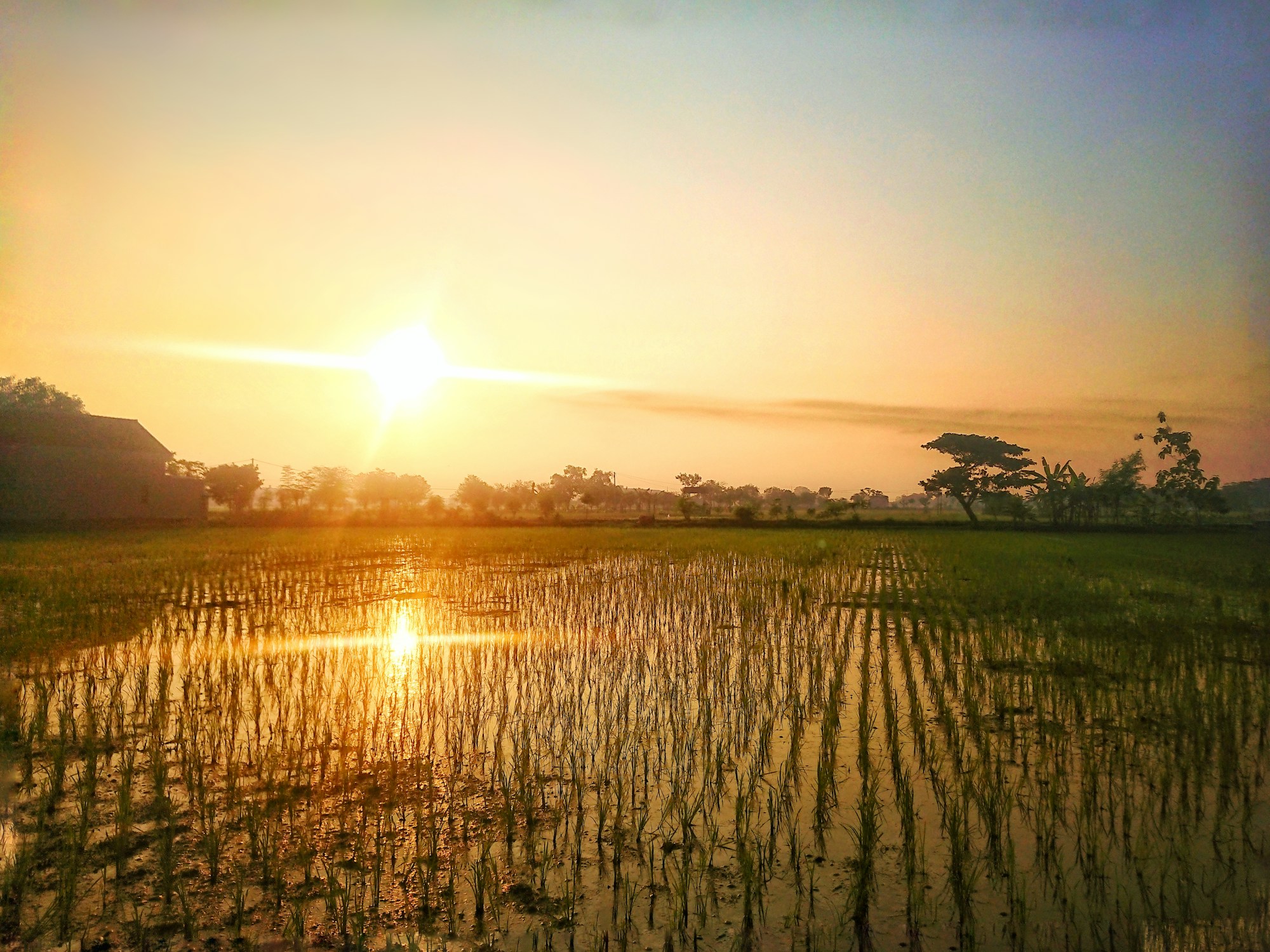 What to see in Madiun: Travel Guide