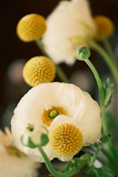 Arreglo floral delicado con flores pastel y follaje elegante, diseño floral premium en Cdmx