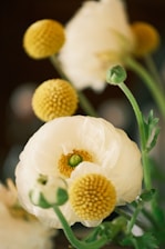 Close-up of a delicate floral arrangement featuring soft pastel flowers in natural light.