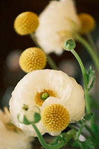 Close-up of a delicate floral arrangement featuring soft pastel flowers in natural light.