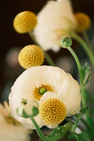 A close-up of a tasteful bouquet of fresh flowers, symbolizing care and attention.