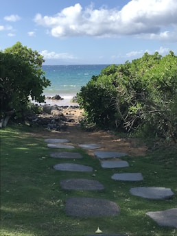 A scenic view of a hidden navigation route.