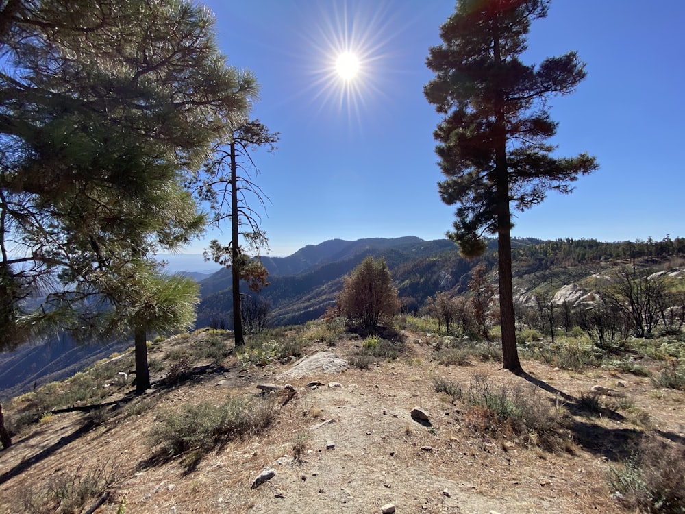 the sun is shining over the mountains and trees