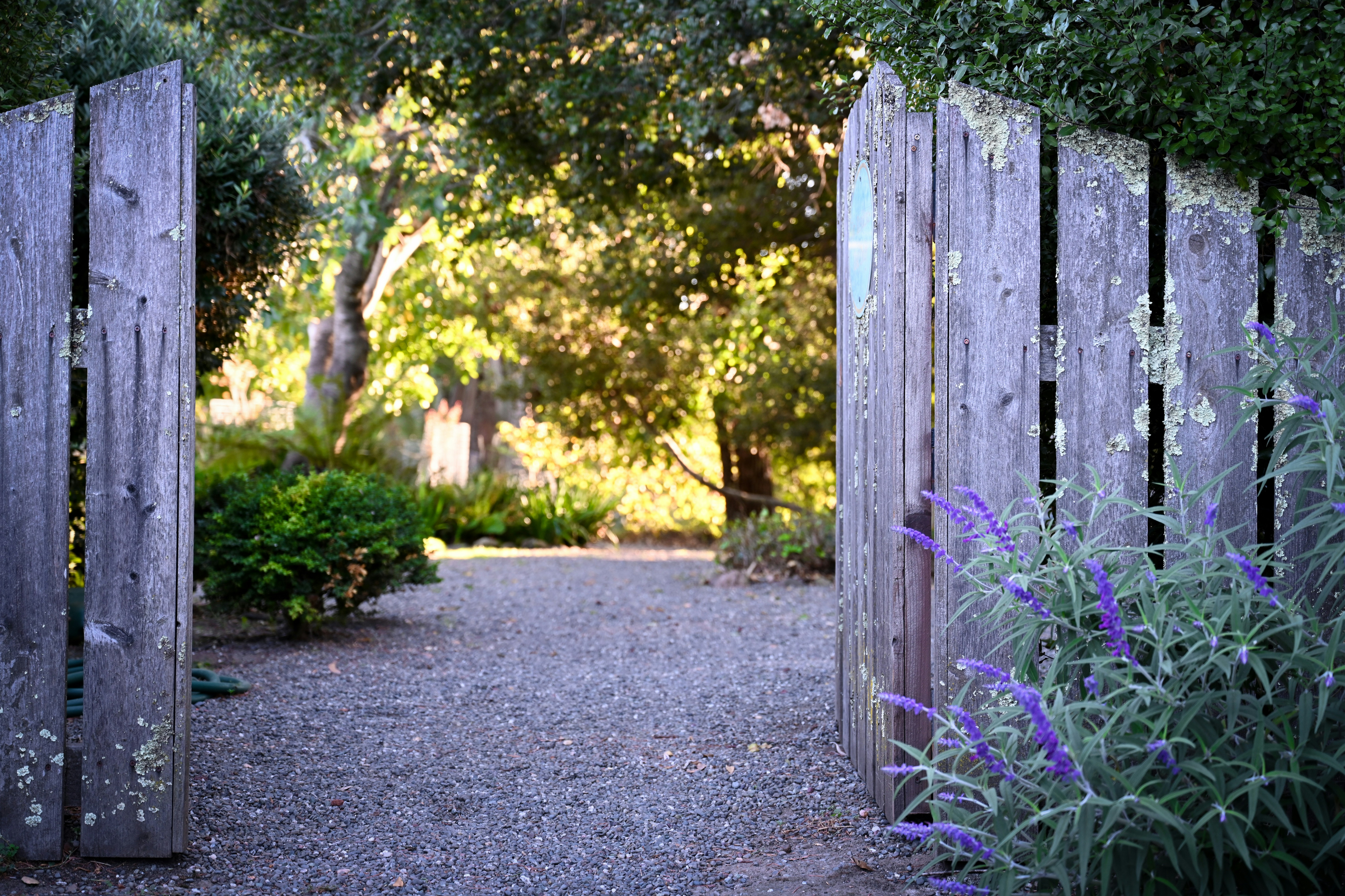 Photo by brucelisker