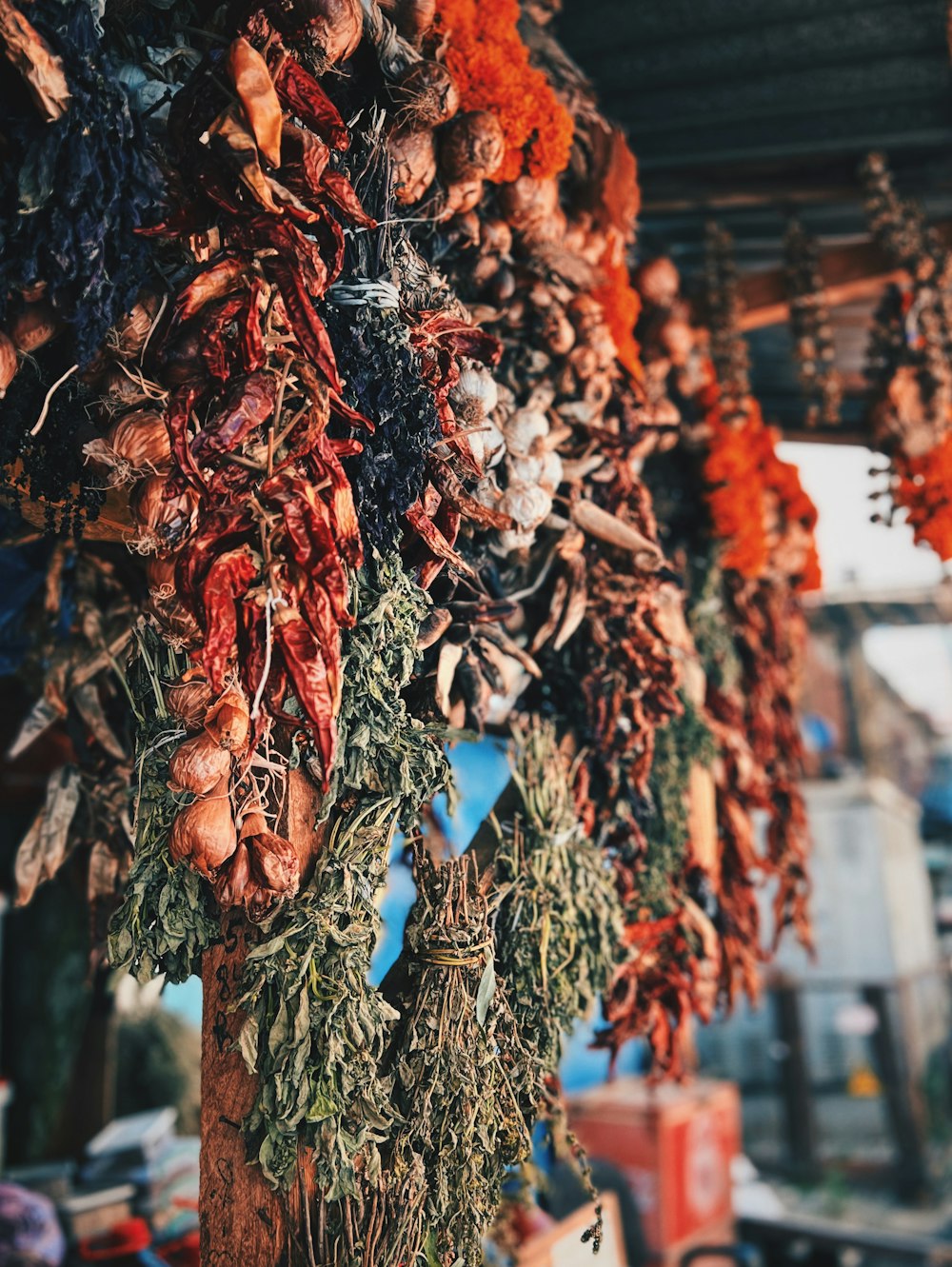 a bunch of dried herbs hanging from a pole