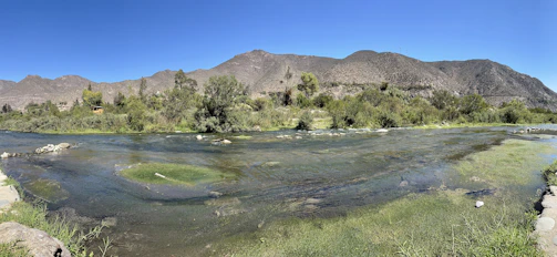 A serene river flowing through a lush Montana watershed with surrounding native vegetation.