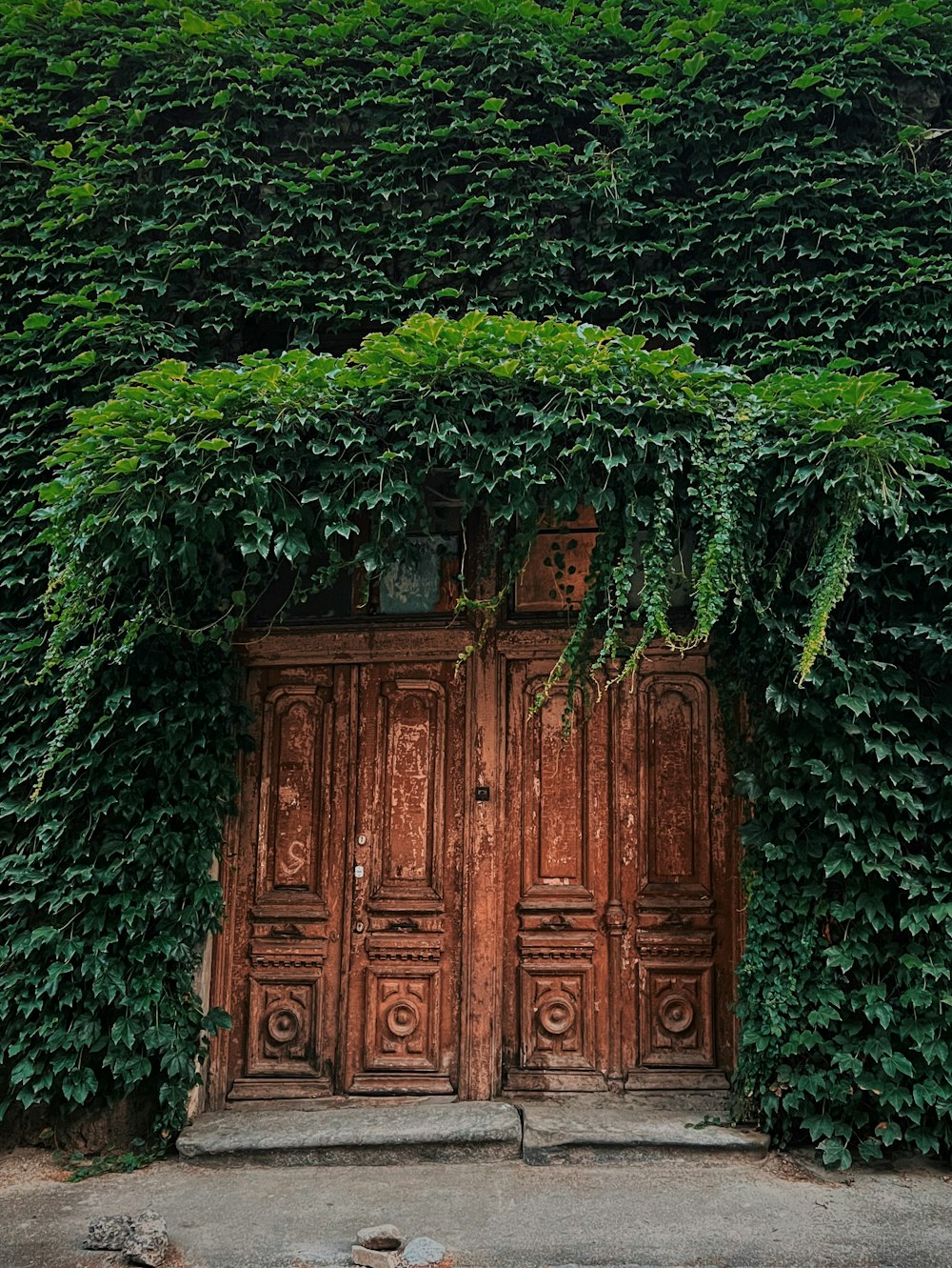 a large wooden door surrounded by green plants