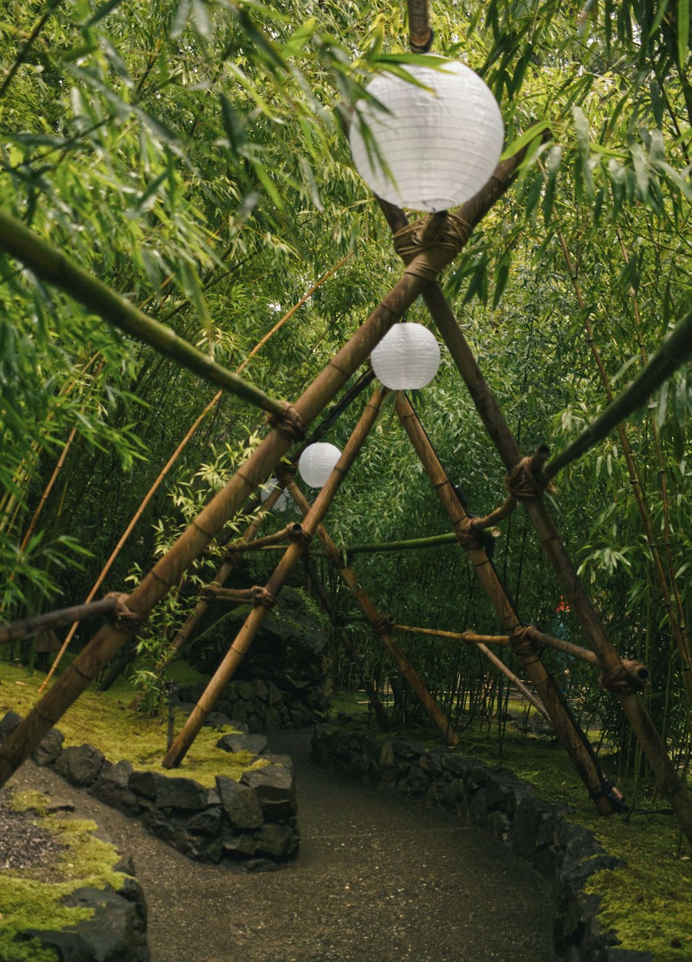 a path through a bamboo forest with white lanterns hanging from the branches