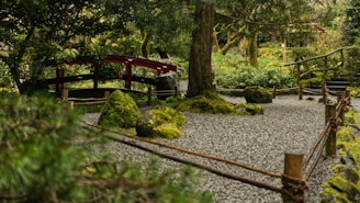 A serene Japanese garden featuring a red arched bridge over still koi pond.