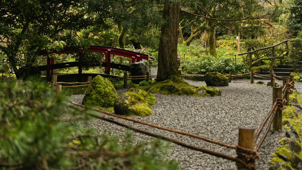 地面に岩や苔が生えている日本庭園