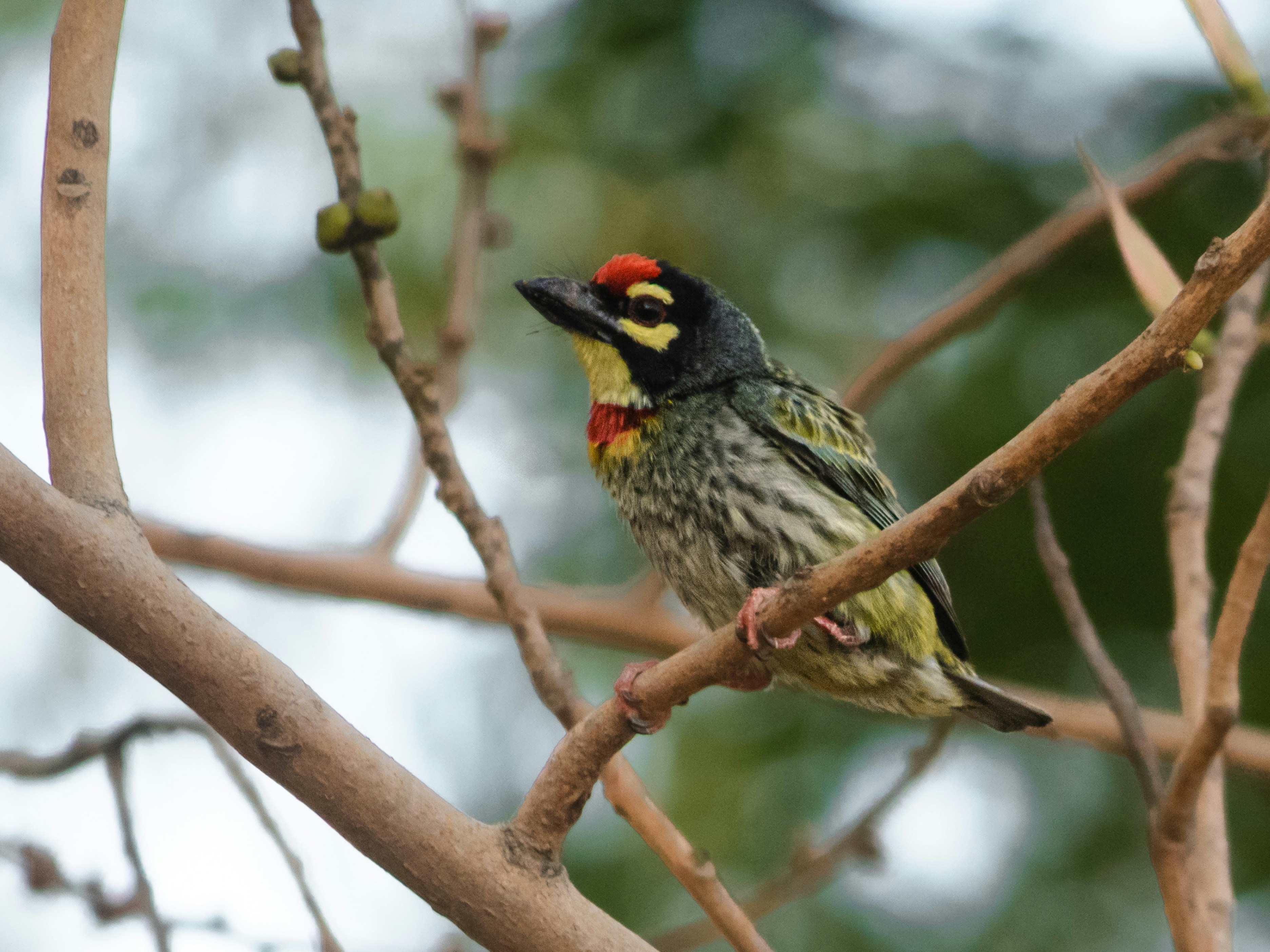 Photo by harshit_suryawanshi