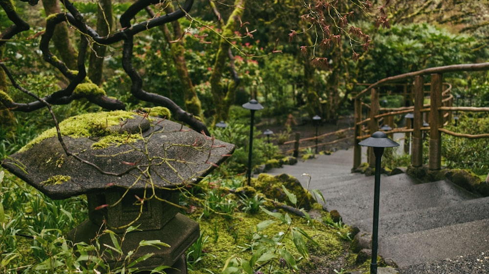 a path in a garden with moss growing on it