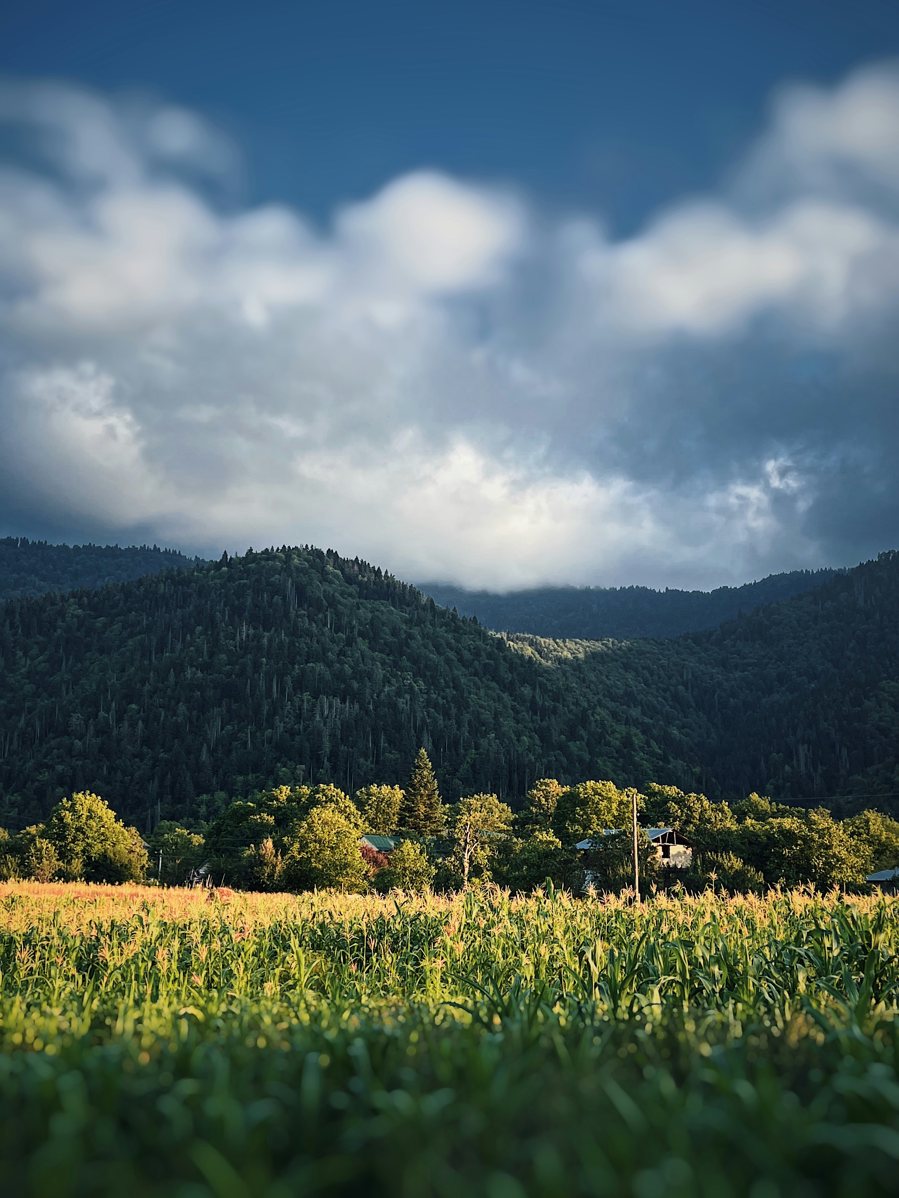 Afternoon at Rabati Castle: Exploring the Fortress Complex