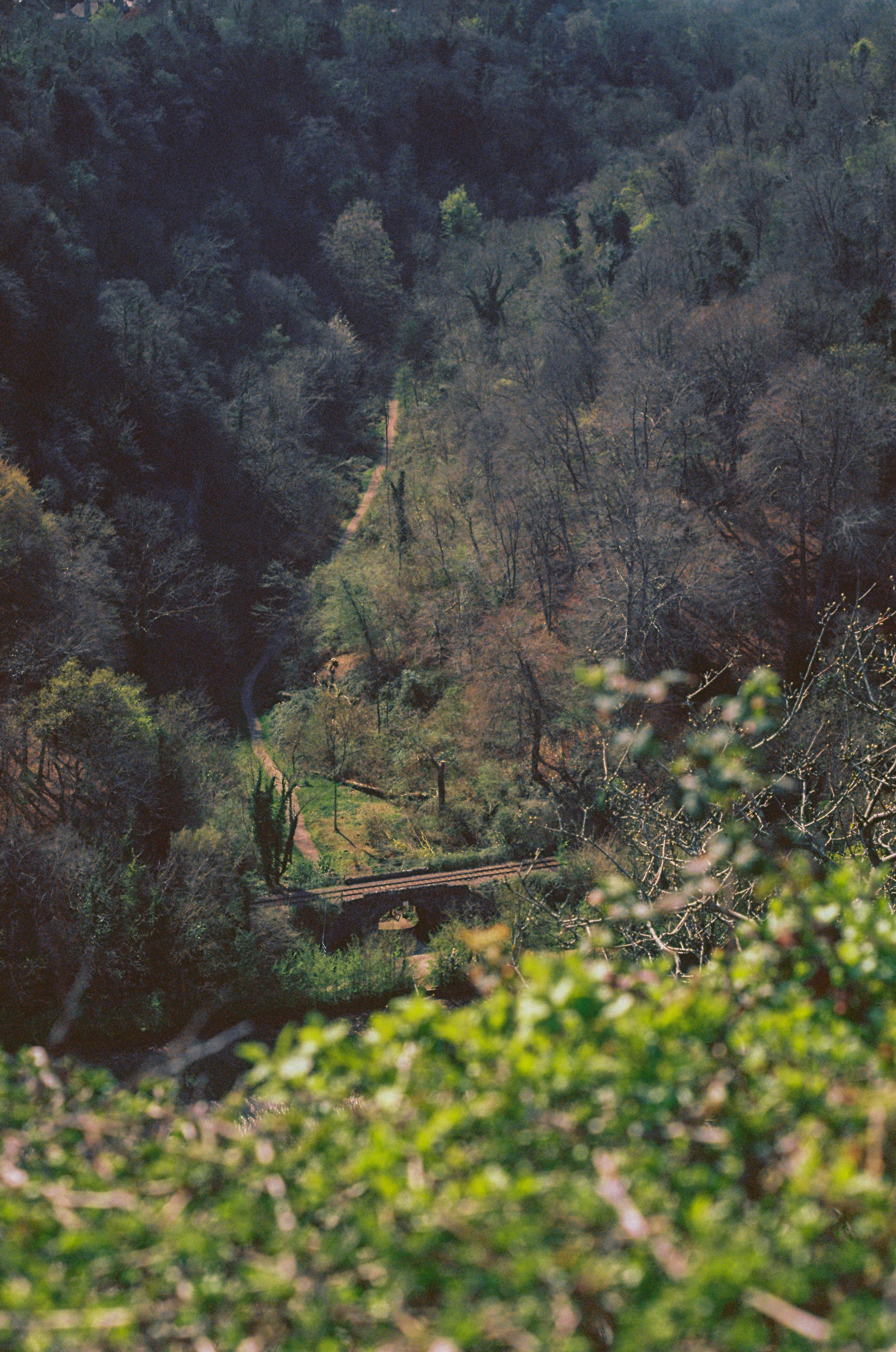 Photo by travis_j