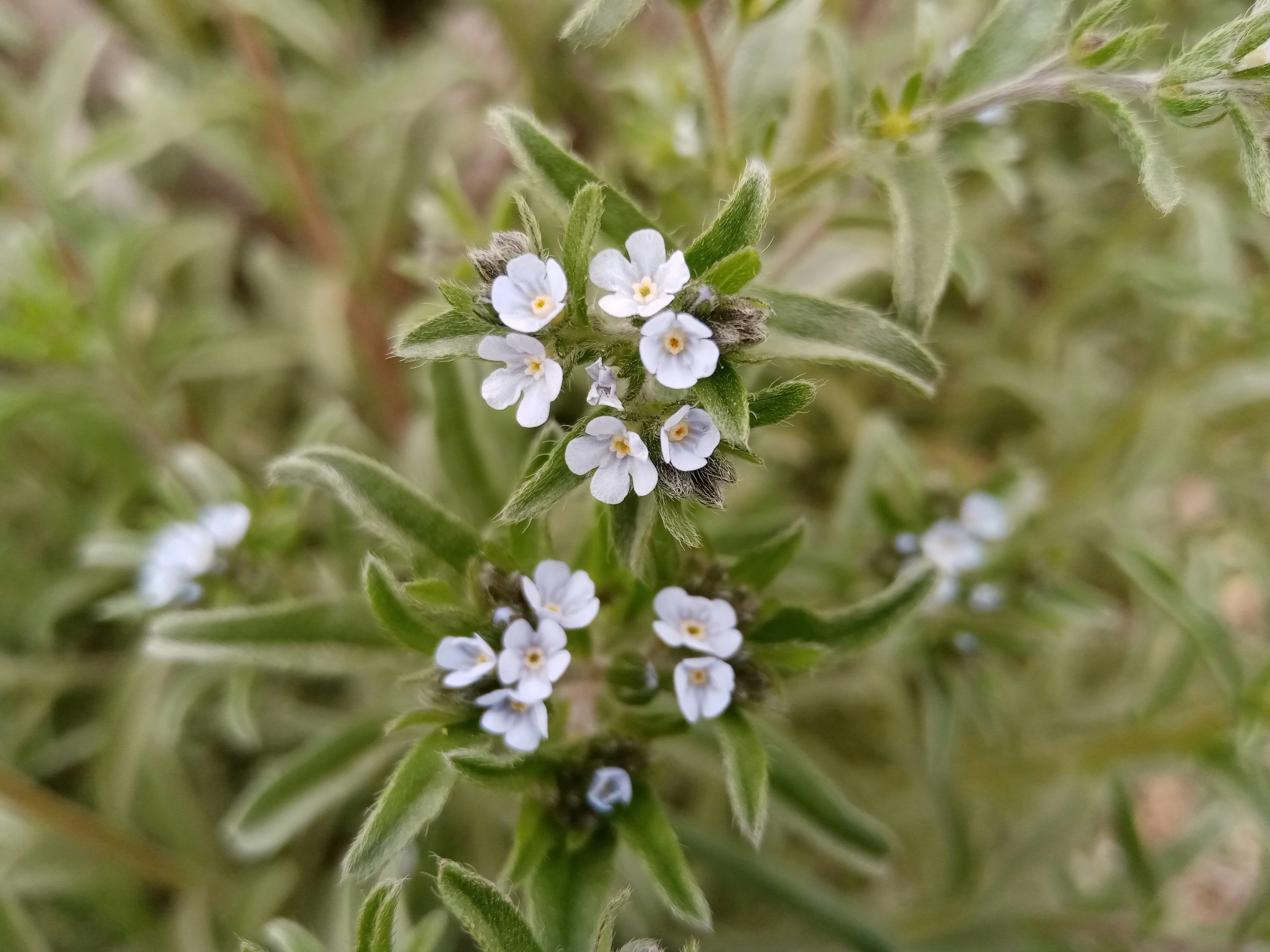 Photo by sketchpad20230331