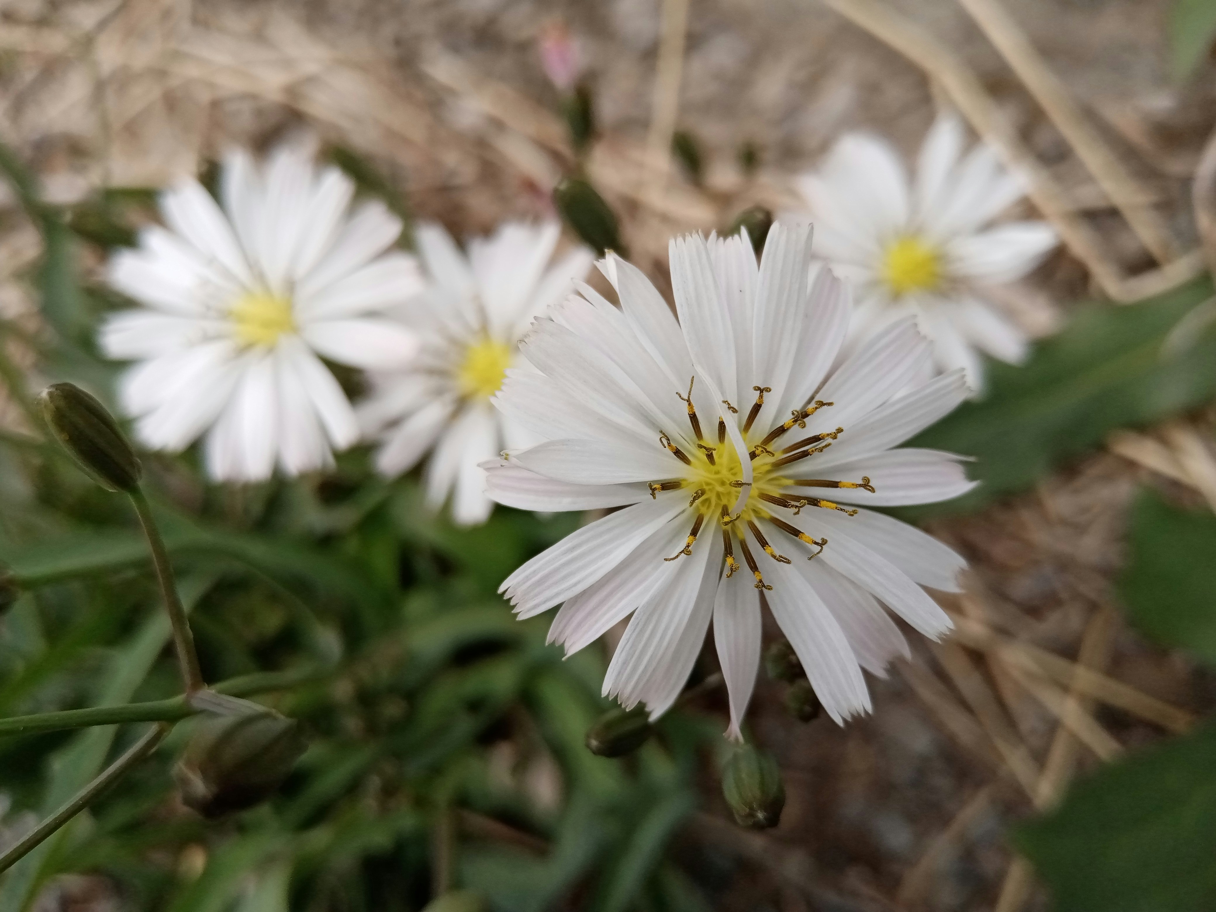 Photo by sketchpad20230331