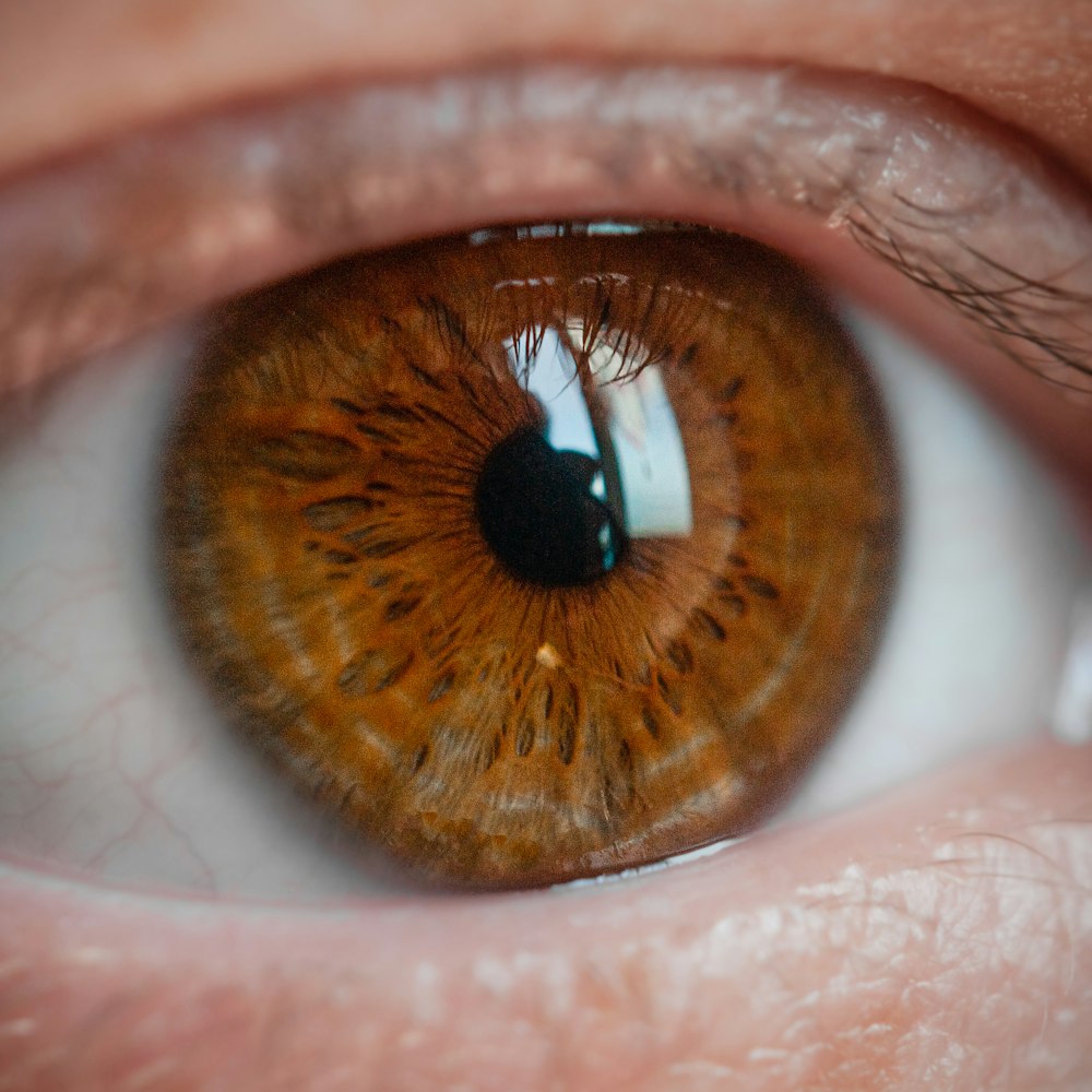 a close up of a person's brown eye