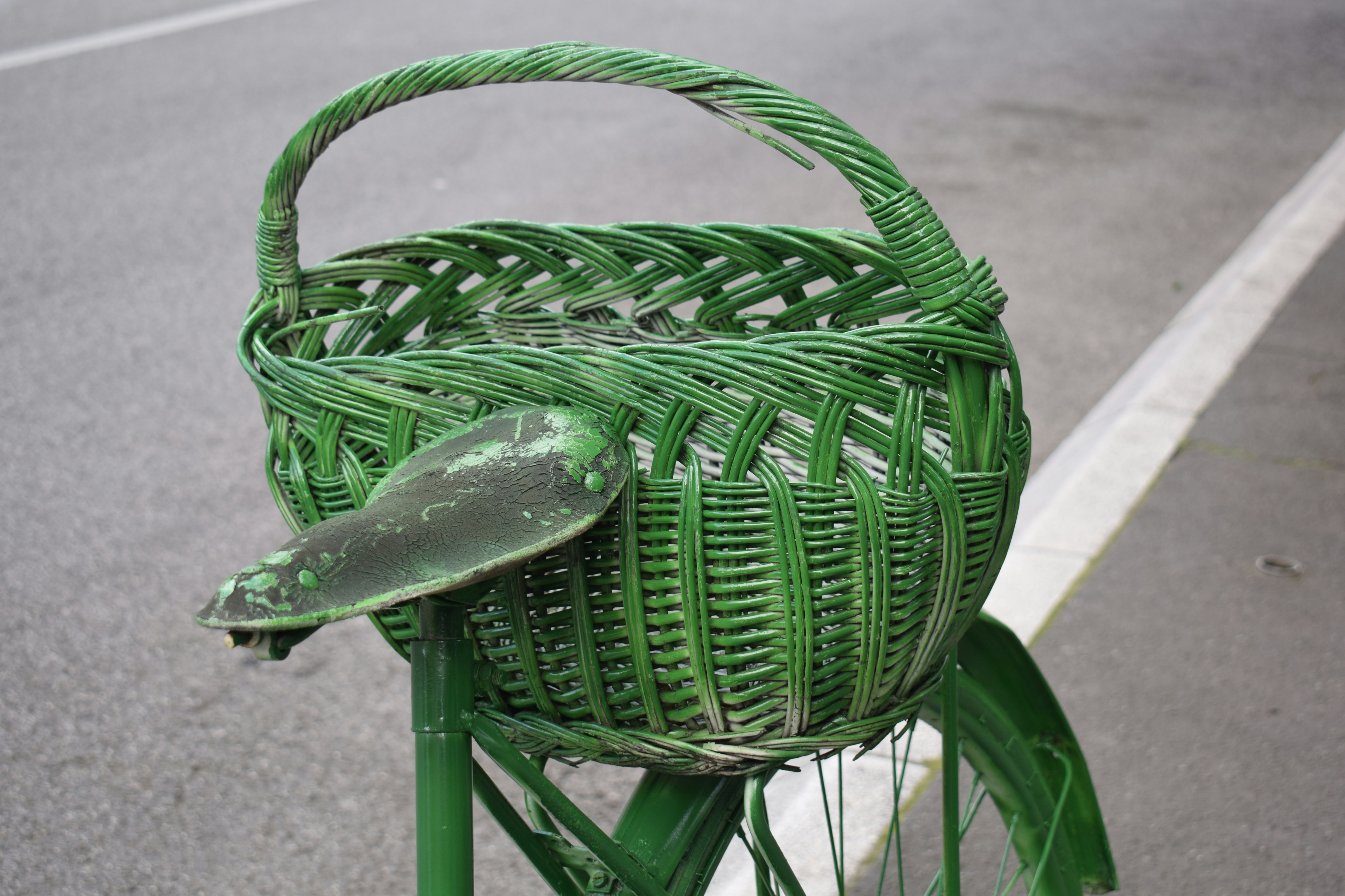 Creative Uses: Turning Kudzu into an Ally? (image credits: unsplash)