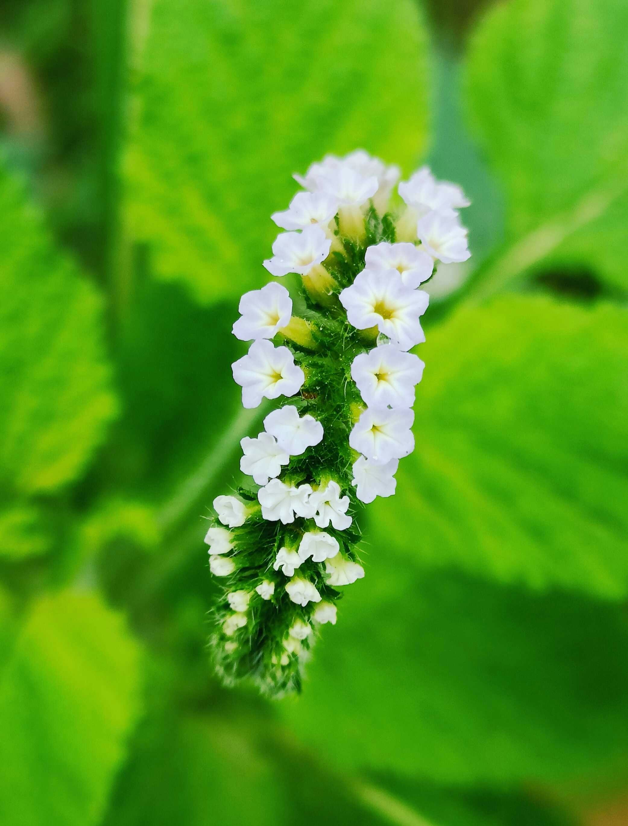 Photo by rumikhatun00