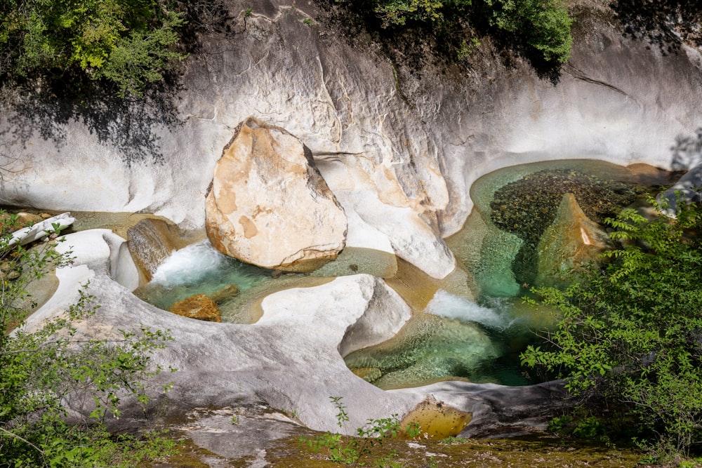 a river running through a lush green forest