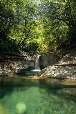 A tranquil waterfall cascades over smooth rocks surrounded by a lush forest. Sunlight filters through the dense canopy of leaves, casting dappled patterns on the clear, green water below. The scene is serene, with a sense of peaceful isolation in nature.