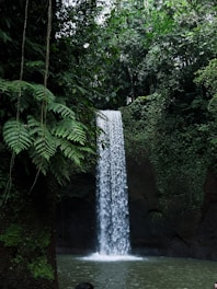 a man standing in front of a waterfall