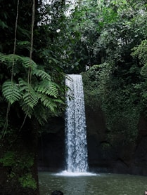 a man standing in front of a waterfall