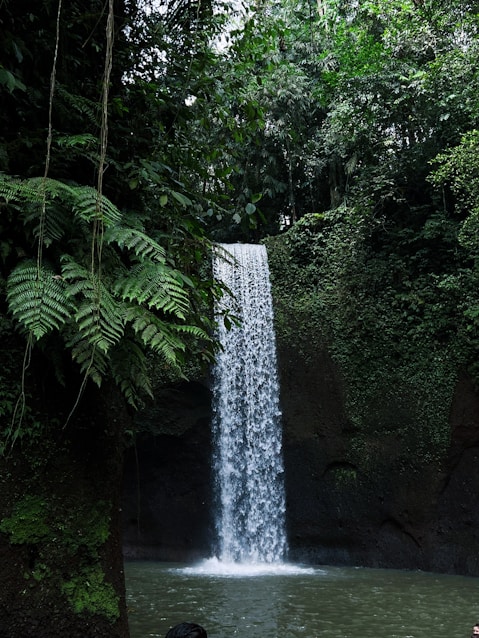 a man standing in front of a waterfall