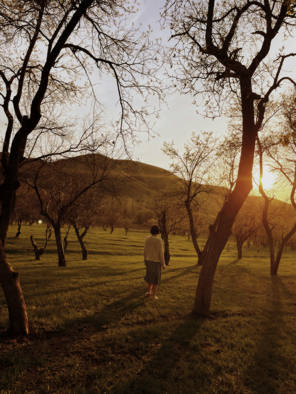 a person standing in a field with trees