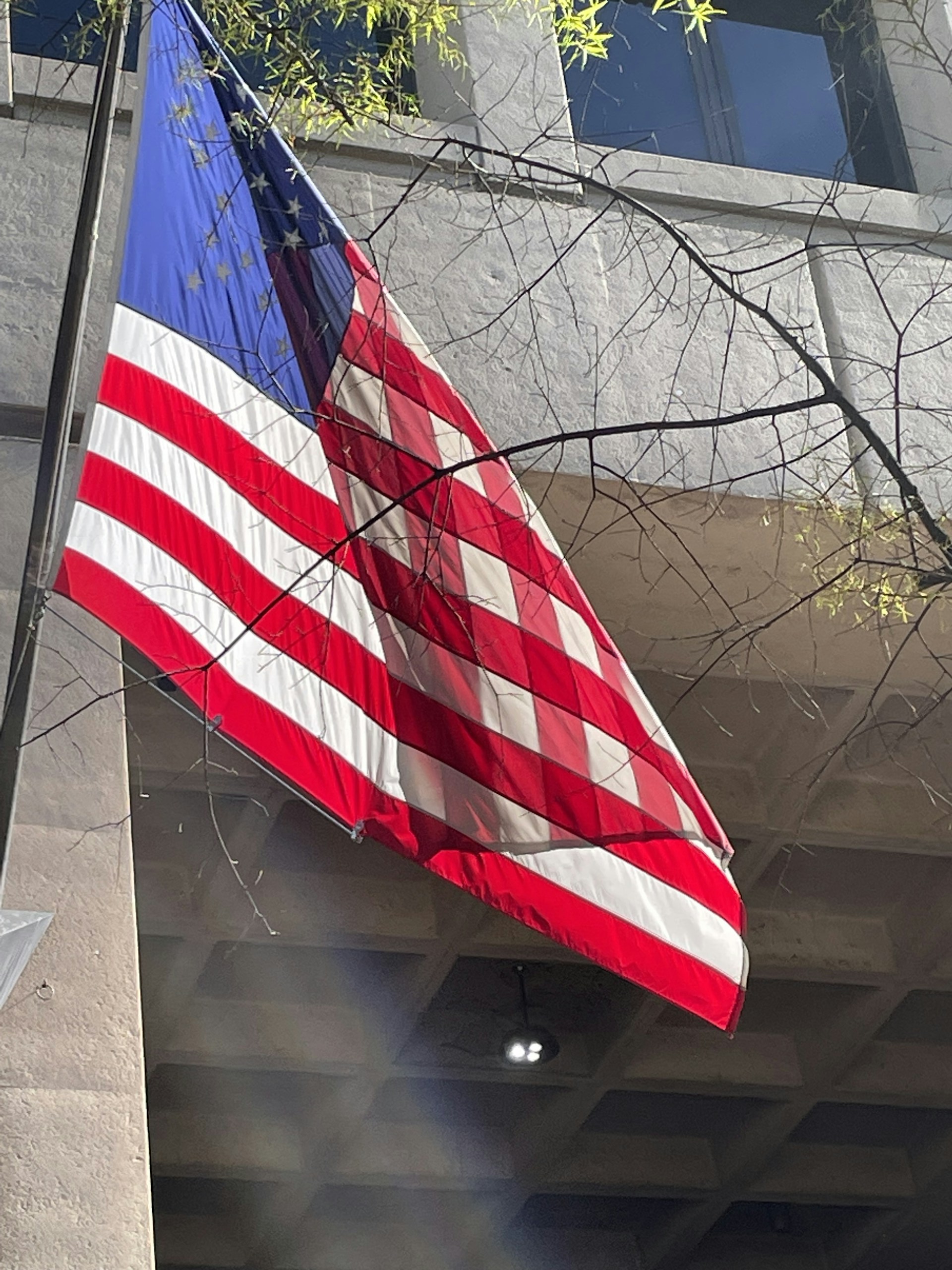 woman wearing yellow long-sleeved dress under white clouds and blue sky during daytime